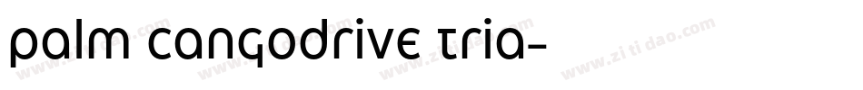 palm cangodrive tria字体转换